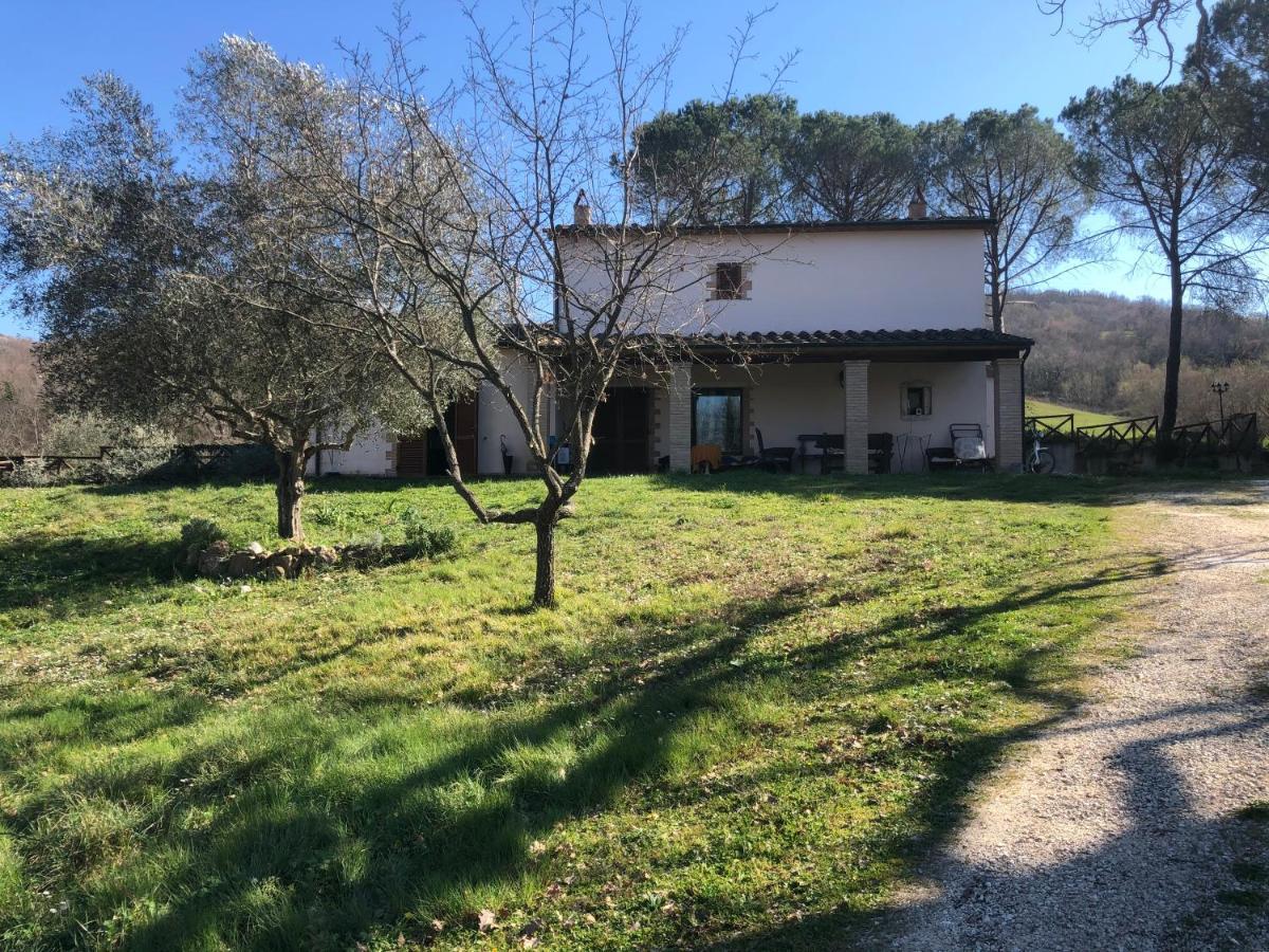 Casa Indipendente In Paese Con Giardino Villa Saturnia Exterior photo